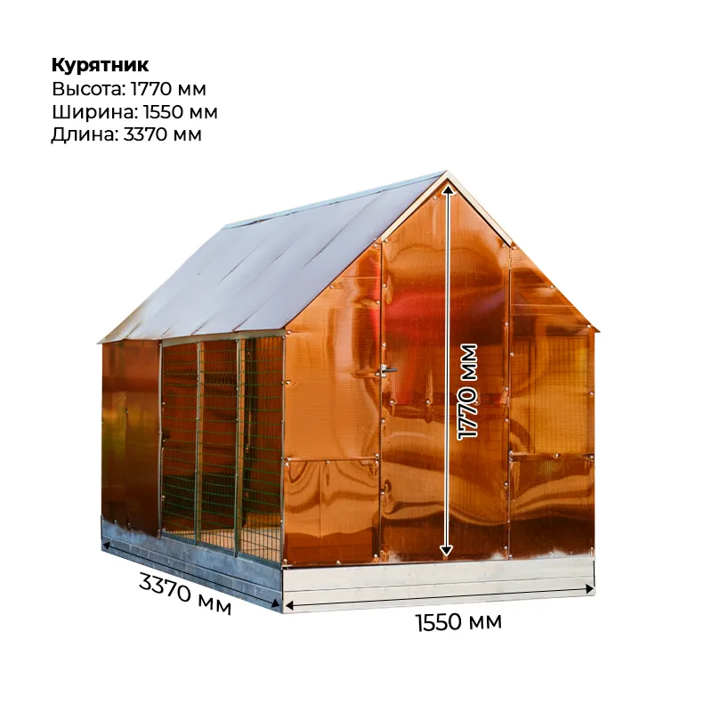 Курятник